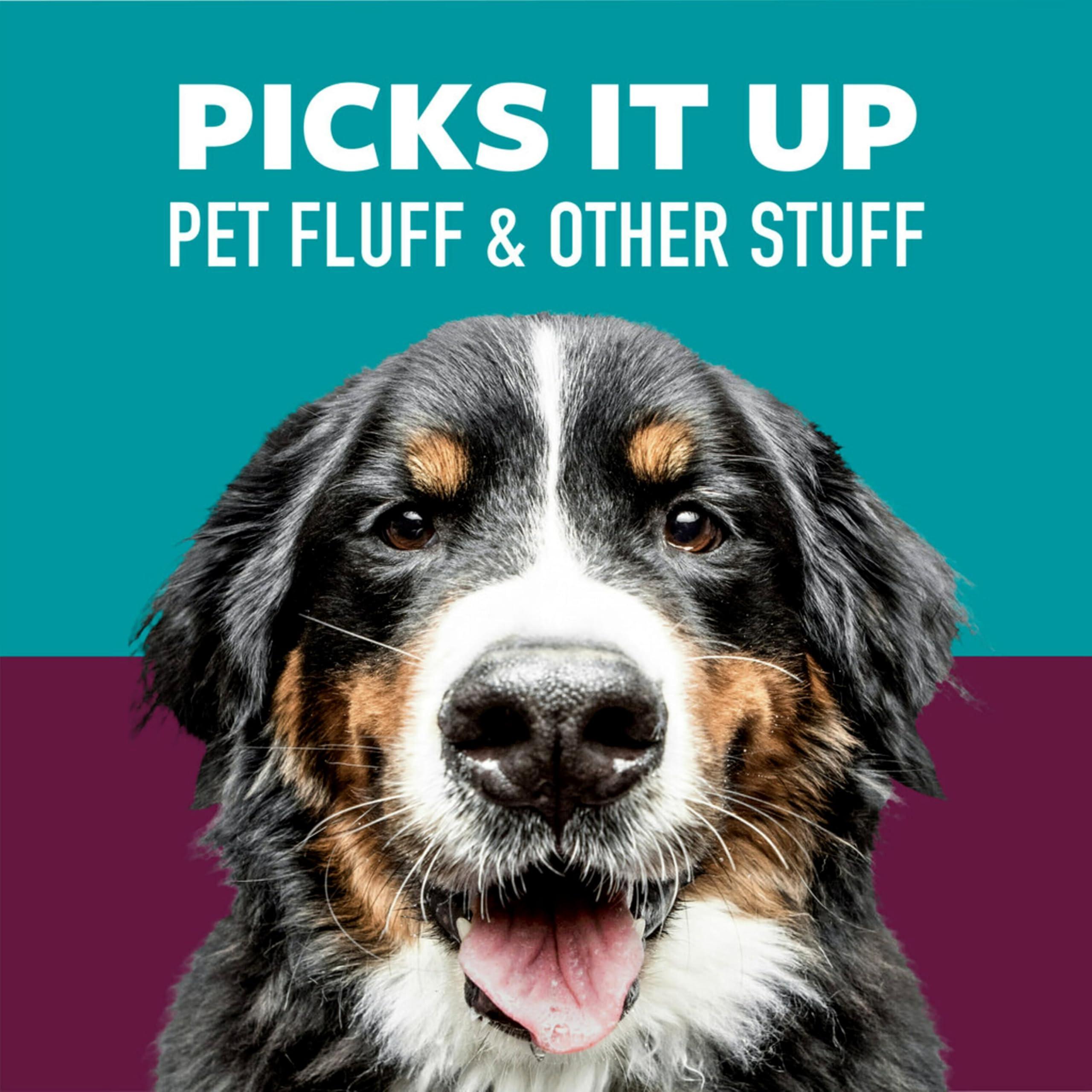 Scotch-Brite Scotch-Brite Pet Hair Pickup Lint Roller, 1 Lint Roller, 70 Sheets Total, Lint Roller for Pet Hair Extra Sticky, Lint Remover, Lint Roller for Clothes, Pet Hair Removal