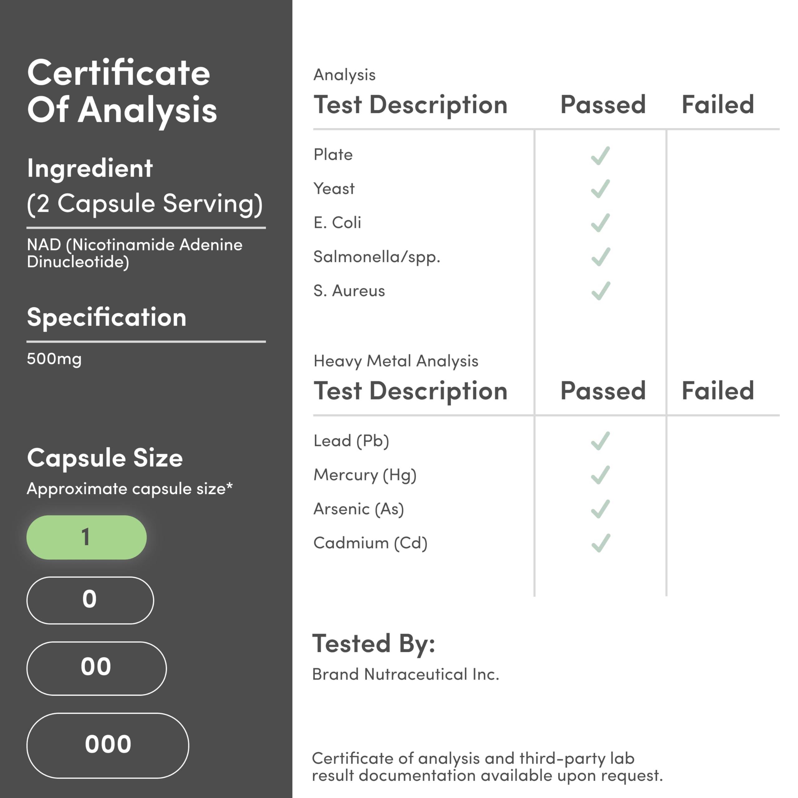 Double Wood Supplements NAD Supplement (500mg of 95% Pure NAD+ Per Serving, 30 Day Supply) NAD Booster Similar to Nicotinamide Riboside (Third Party Tested, Vegan Safe, Non-GMO) by Double Wood