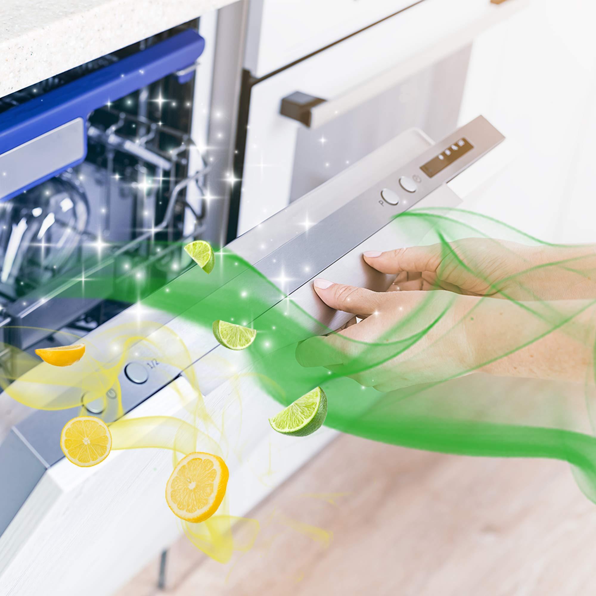 Finish Finish - Finish Duplo Lemon Dishwasher Freshener