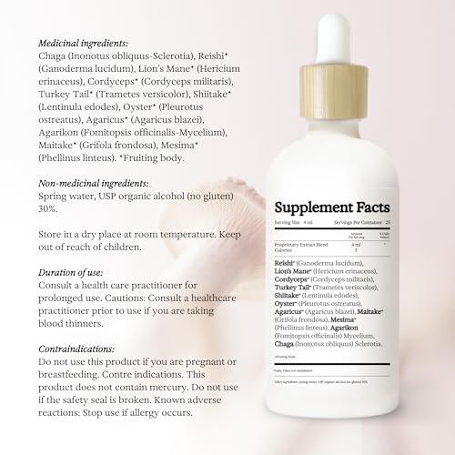 Rainbo Rainbo 11:11 Multi Mushroom Tincture, Dual Extract Mushroom Supplement for Comprehensive Immune Support, Brain Support, Liquid Lion's Mane & Turkey Tail, Vegan, Non GMO, 3.4 fl oz