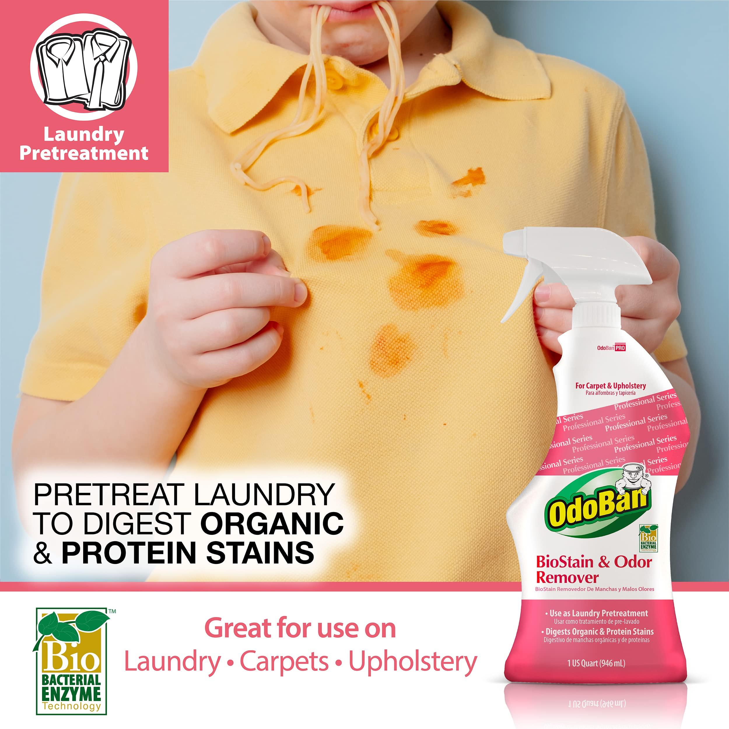 OdoBan OdoBan Professional Cleaning BioStain and Odor Remover for Carpet and Upholstery, 32 oz Ready-to-Use Spray