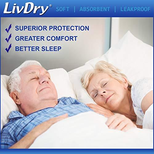 LivDry LivDry Adult S Incontinence Underwear, Overnight Comfort Absorbency, Leak Protection, Small, 72-Pack