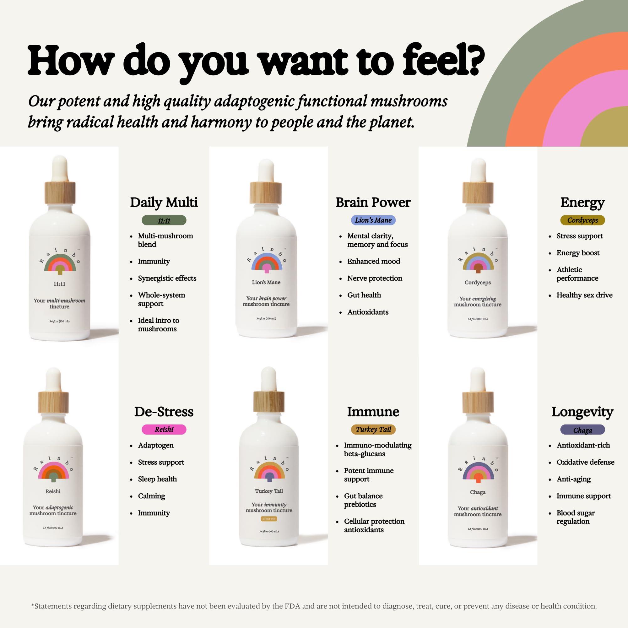 Rainbo Rainbo Mushroom Bundle, 11:11 Multi Mushroom Extract + Chaga Mushroom Tincture, Dual Extract Daily Mushroom Tinctures for Comprehensive Immune Support, Vegan Liquid Mushroom Supplements