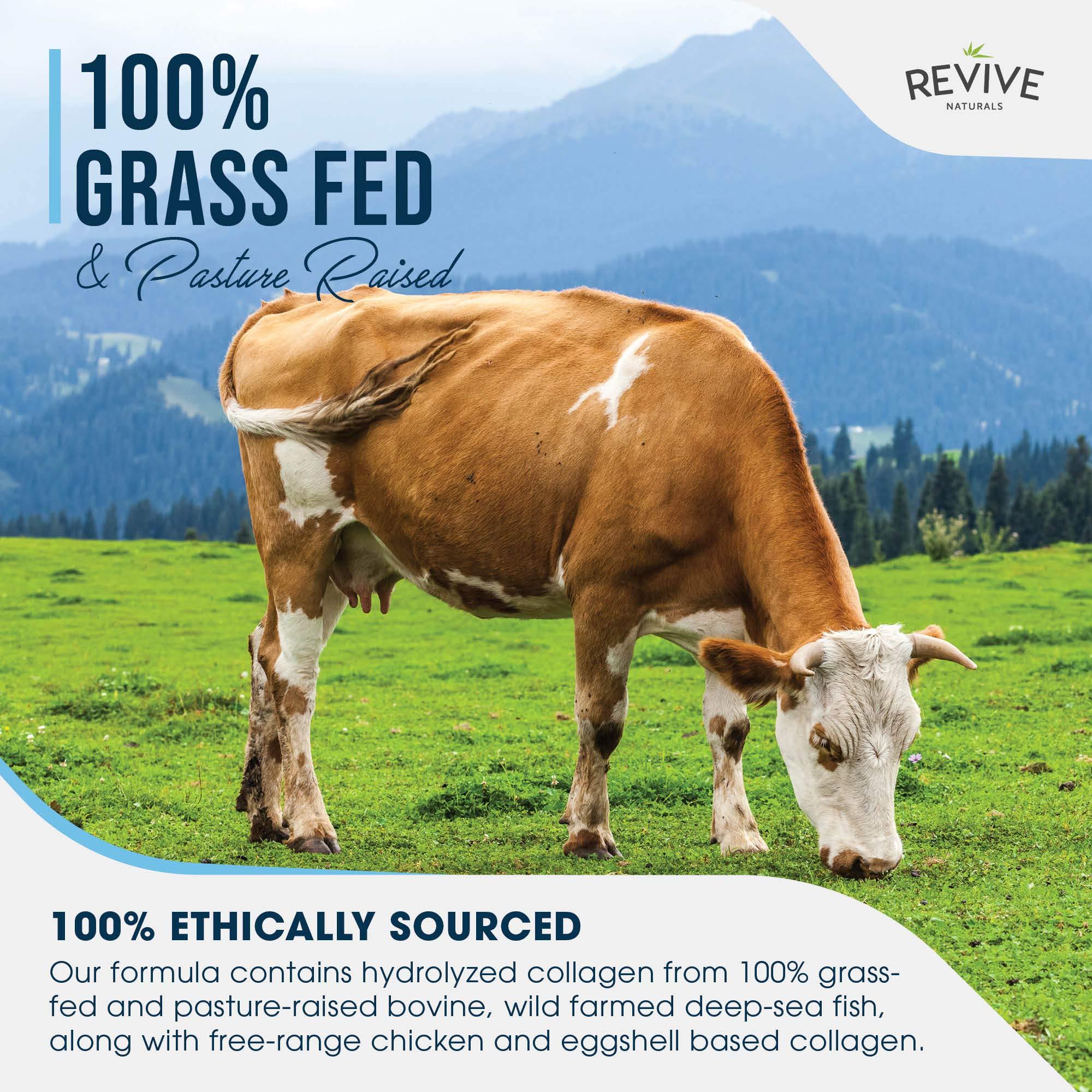 Revive Naturals Multi Collagen Protein Powder Packets - Types I, II, III, V & X - Hydrolyzed Grass Fed Bovine, Wild Caught Fish, & Free-Range Chicken & Eggshell Collagen. Non-GMO, Halal, (10g Each, 20 Packets)