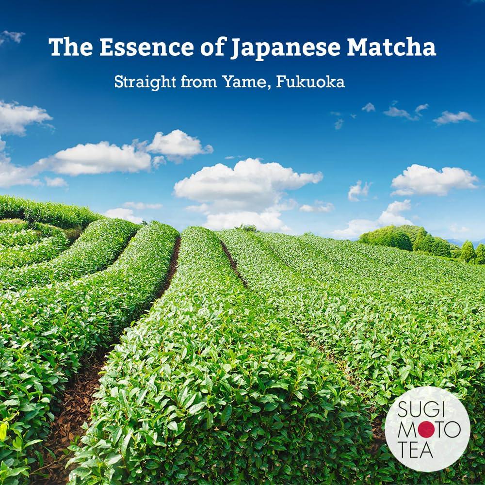 SUGIMOTO TEA SUGIMOTO TEA Japanese Matcha Powder Ceremonial Grade KOCHI 1.0 oz (30 g), Limited Edition of First Flush Spring Leaves Made in Fukuoka, Japan