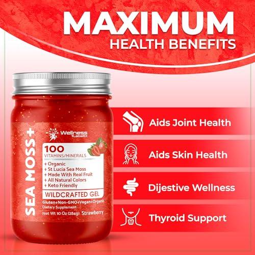 WELLNESS LABSRX Irish Sea Moss Gel Organic Raw - Wildcrafted Superfood Seamoss Gel - Strawberry Flavor, Vitamin and Mineral-Rich from Pristine Caribbean Waters, Immune and Digestive Health Support - 10 oz.