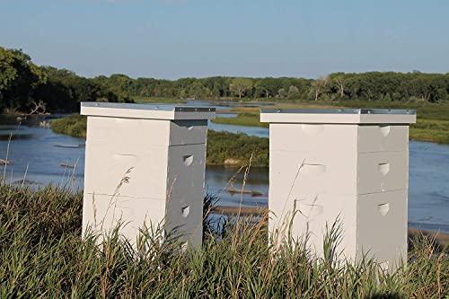 Prairie River Honey Farm Pure Royal Jelly 5 oz Jar (142 Grams of Pure Royal Jelly)