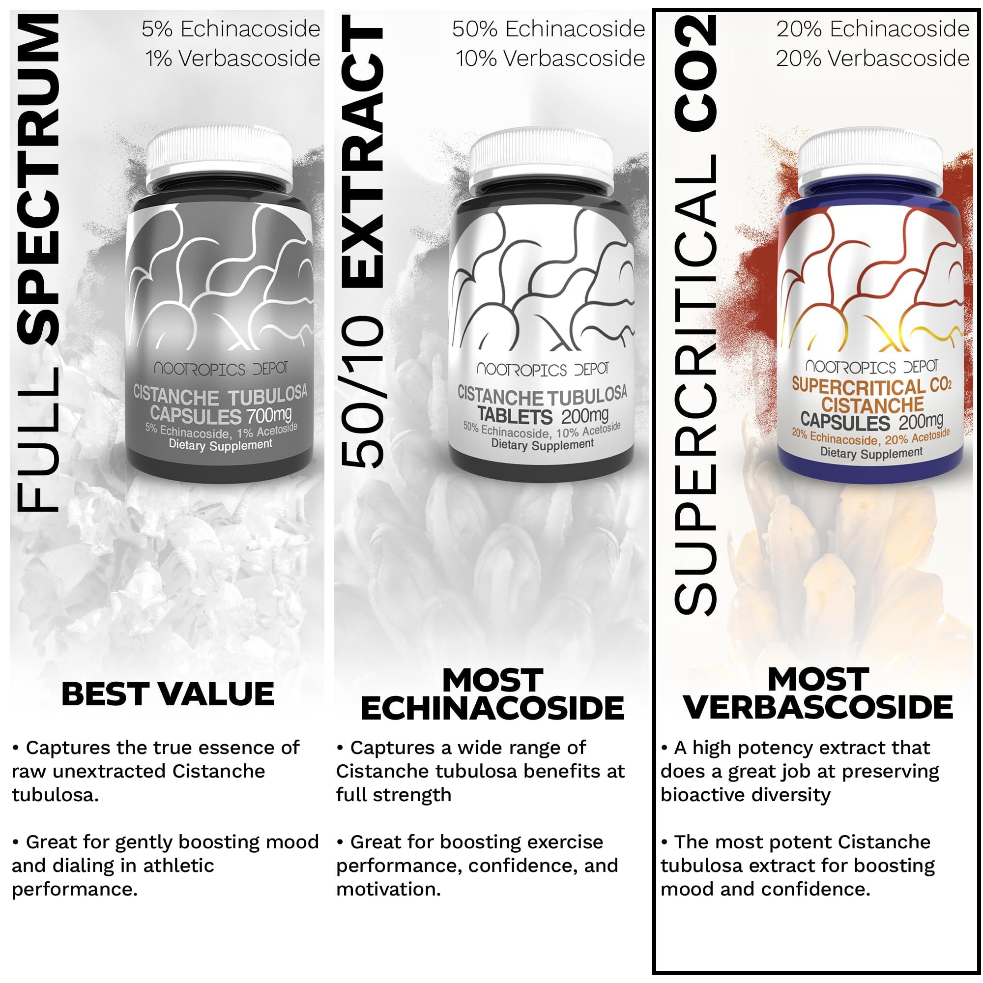 Nootropics Depot Nootropics Depot Cistanche Supercritical CO2 Extract Capsules | 20% Echinacoside + 20% Verbascoside (Acetoside) | 60 Count