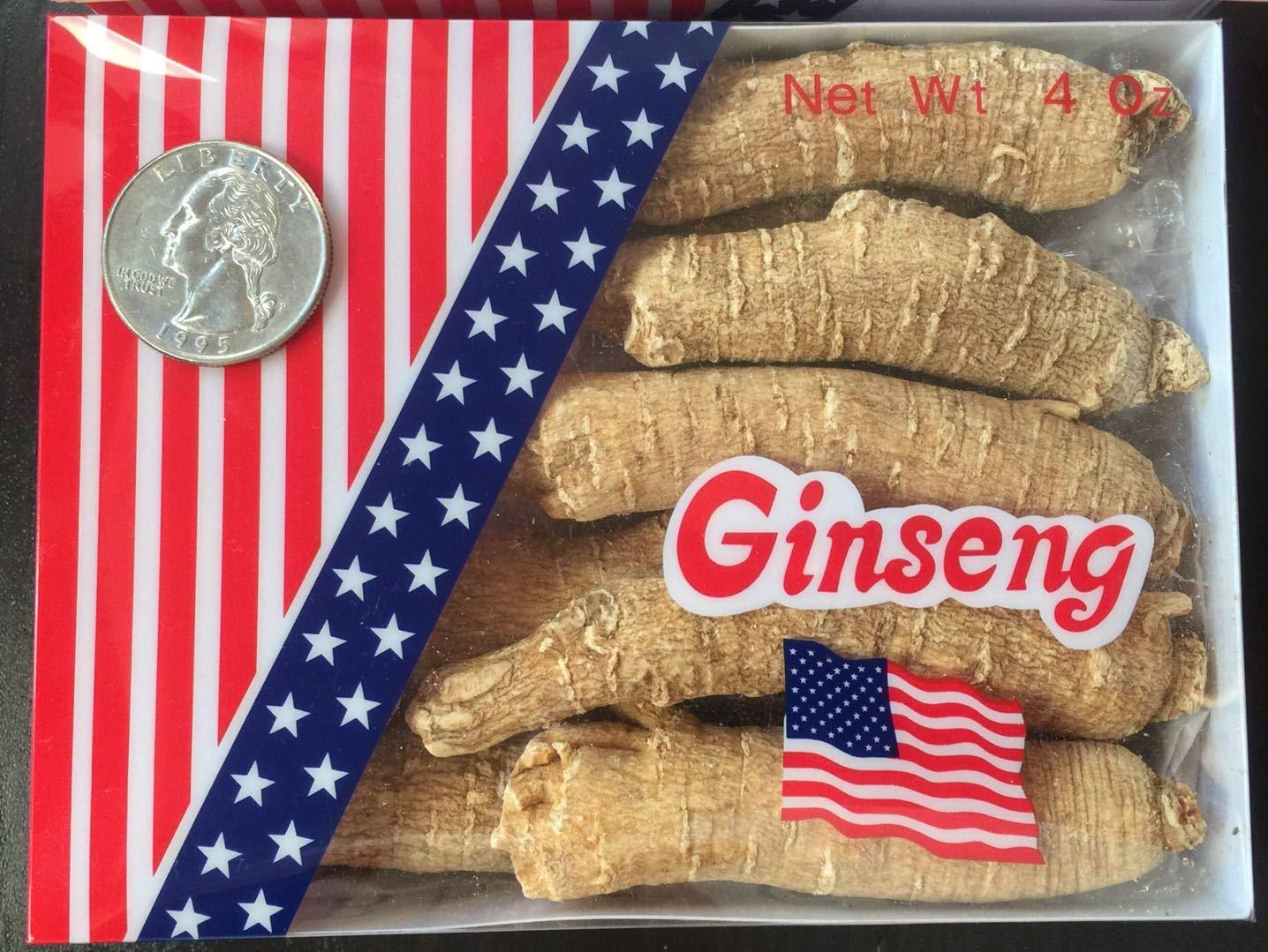 Herbal For Life By CH Connection American Ginseng from Wisconsin, Ginseng Root / Ginseng Slice / Ginseng Tea, 4 Ounce (Jumbo Long Roots)
