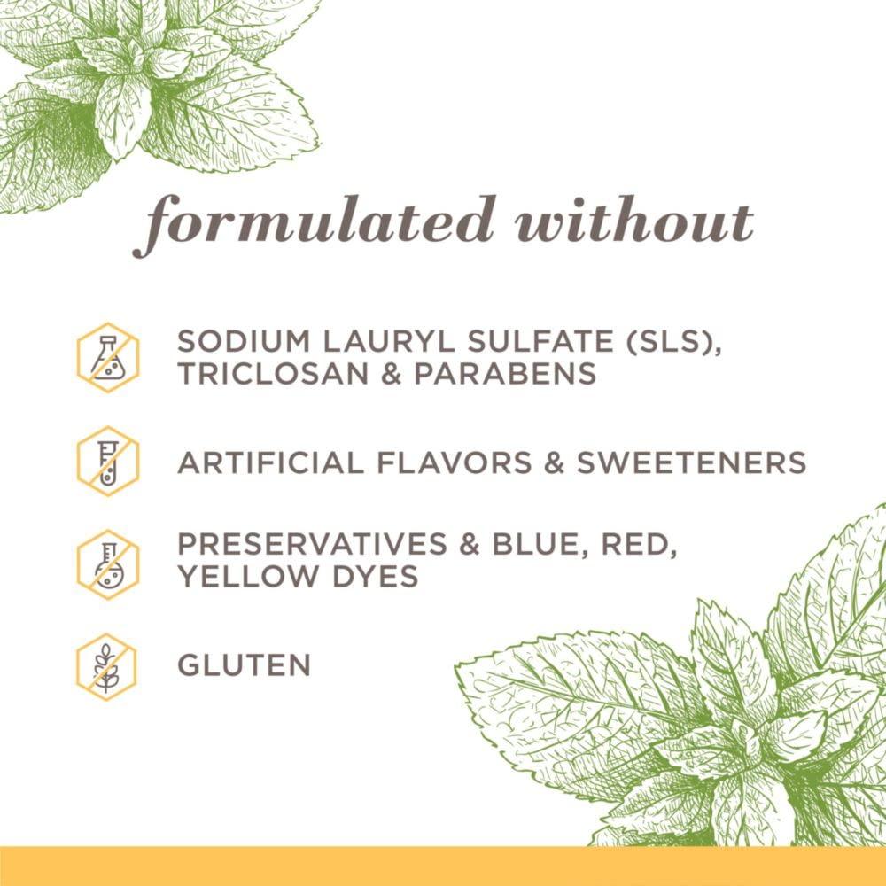 Burt's Bees Burt’s Bees Toothpaste, Natural Flavor, Fluoride-Free, Purely White, Zen Peppermint, 4.7 oz, Pack of 3