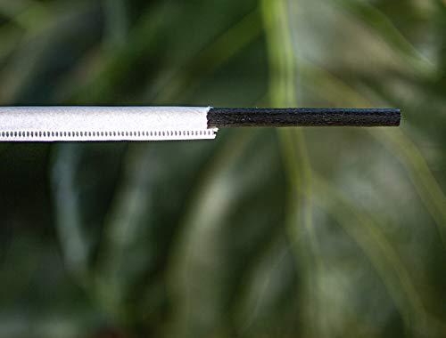 ECOWARE AGAVE FIBER STRAWS BLACK - 500ct Individually Wrapped Biodegradable 8.2" Straws by Ecoware. Plant Based, Eco-friendly, 100% Recyclable, Alternative to Paper & Plastic Straws