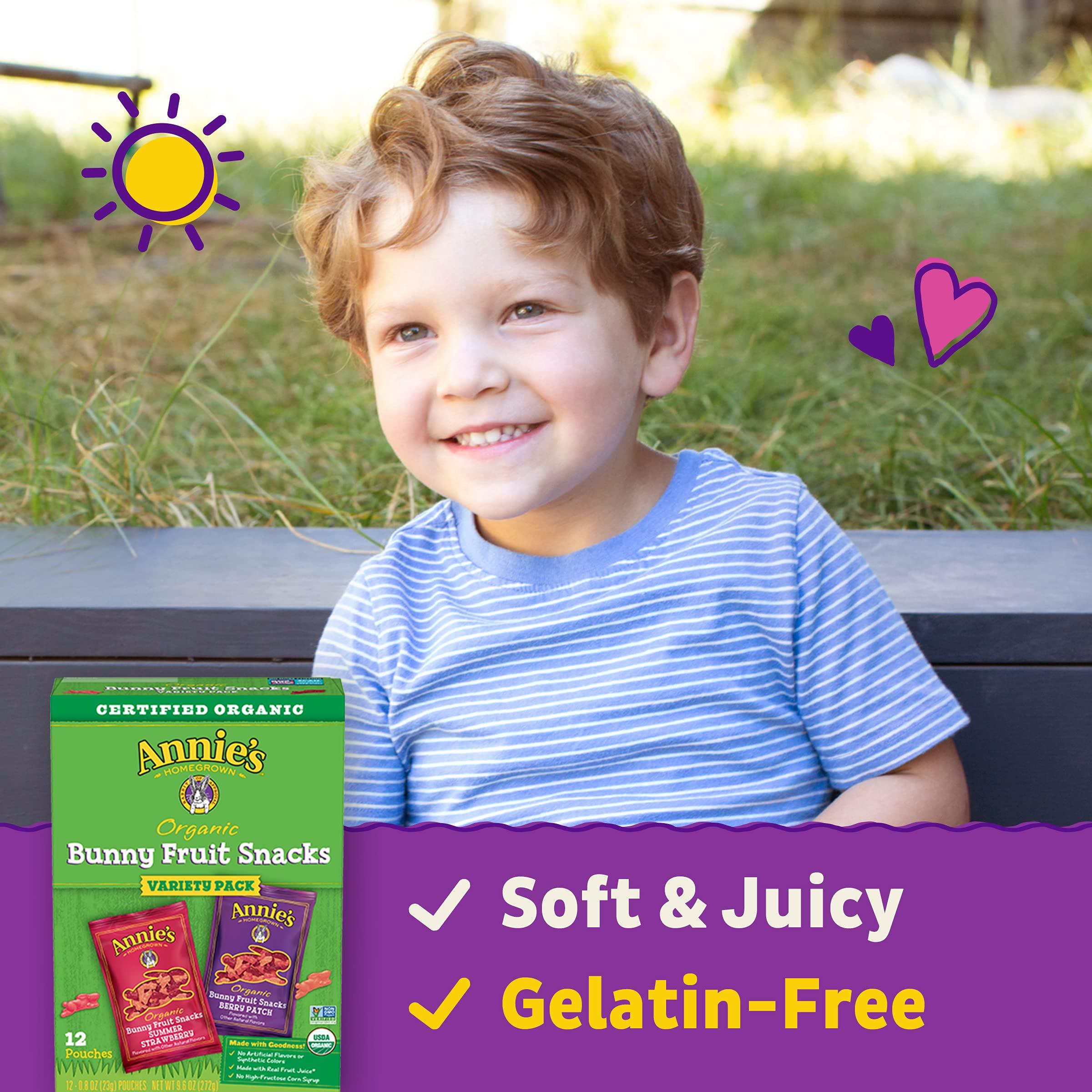 Annie's Homegrown Annie\'s Homegrown Organic Bunny Fruit Snacks, Variety Pack, 12 Pouches, 9.6 oz Box