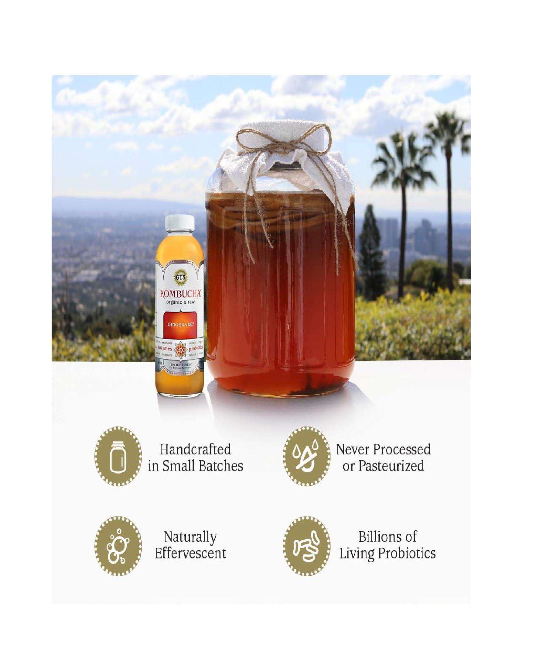 Generic Generic Synergy Organic & Unpasteurized Raw Kombucha Gingerade - Enzymes and Probiotics 16oz pack of 12