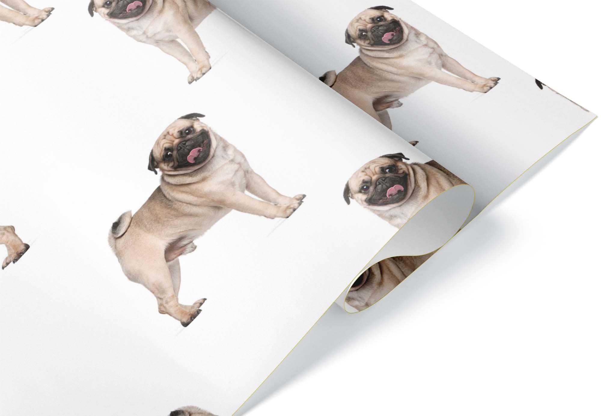 Foot Defender Foot Defender Protective Boot for Foot Wounds Designed to Offload Pressure and Help Diabetic Foot Ulcers Heal Faster (Medium)