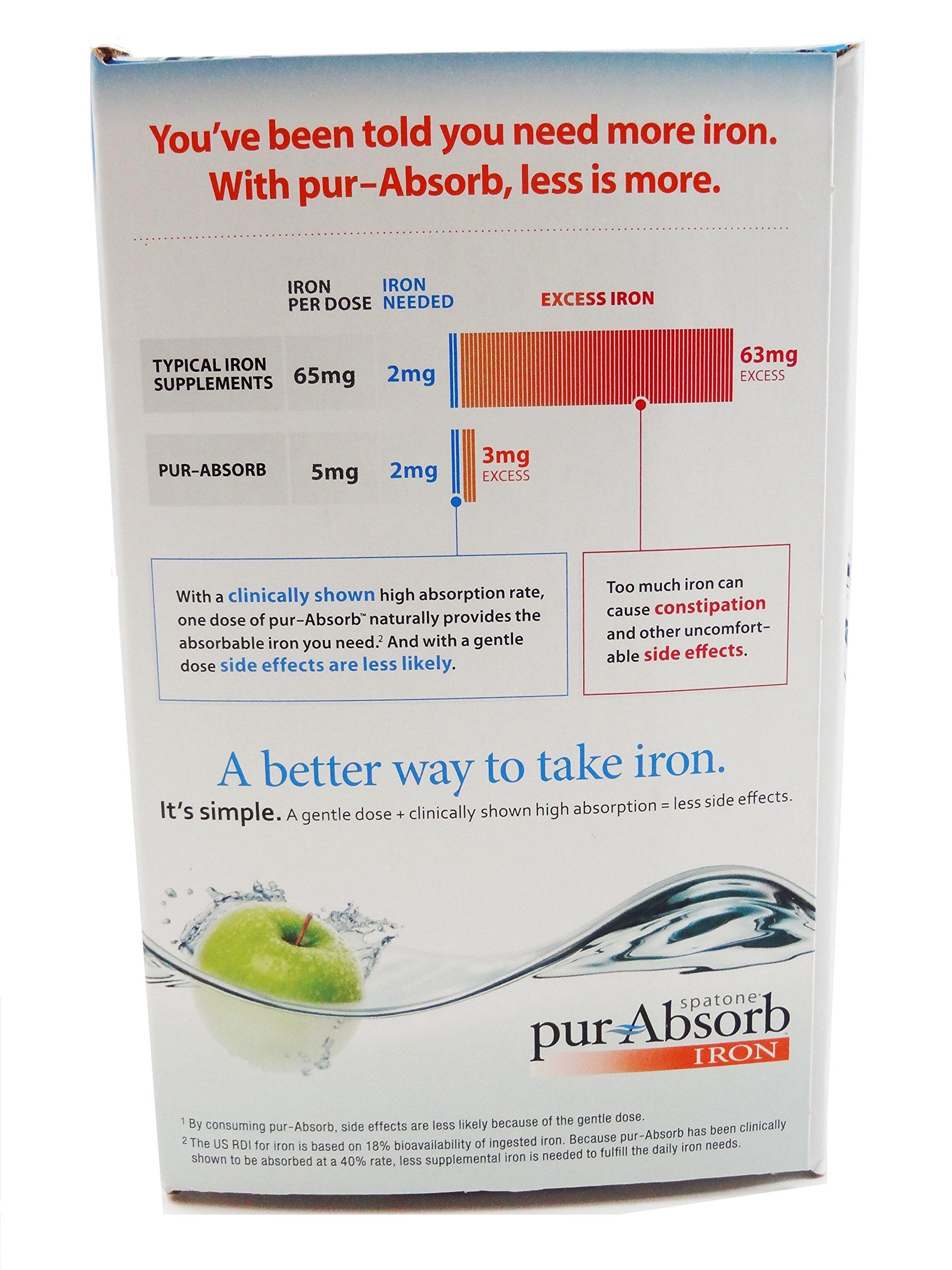 pur-Absorb Pur-Absorb Liquid Iron & Vitamin C Supplement (28-Pack of 0.85 fl.oz) (Net. 23.8 fl oz.)