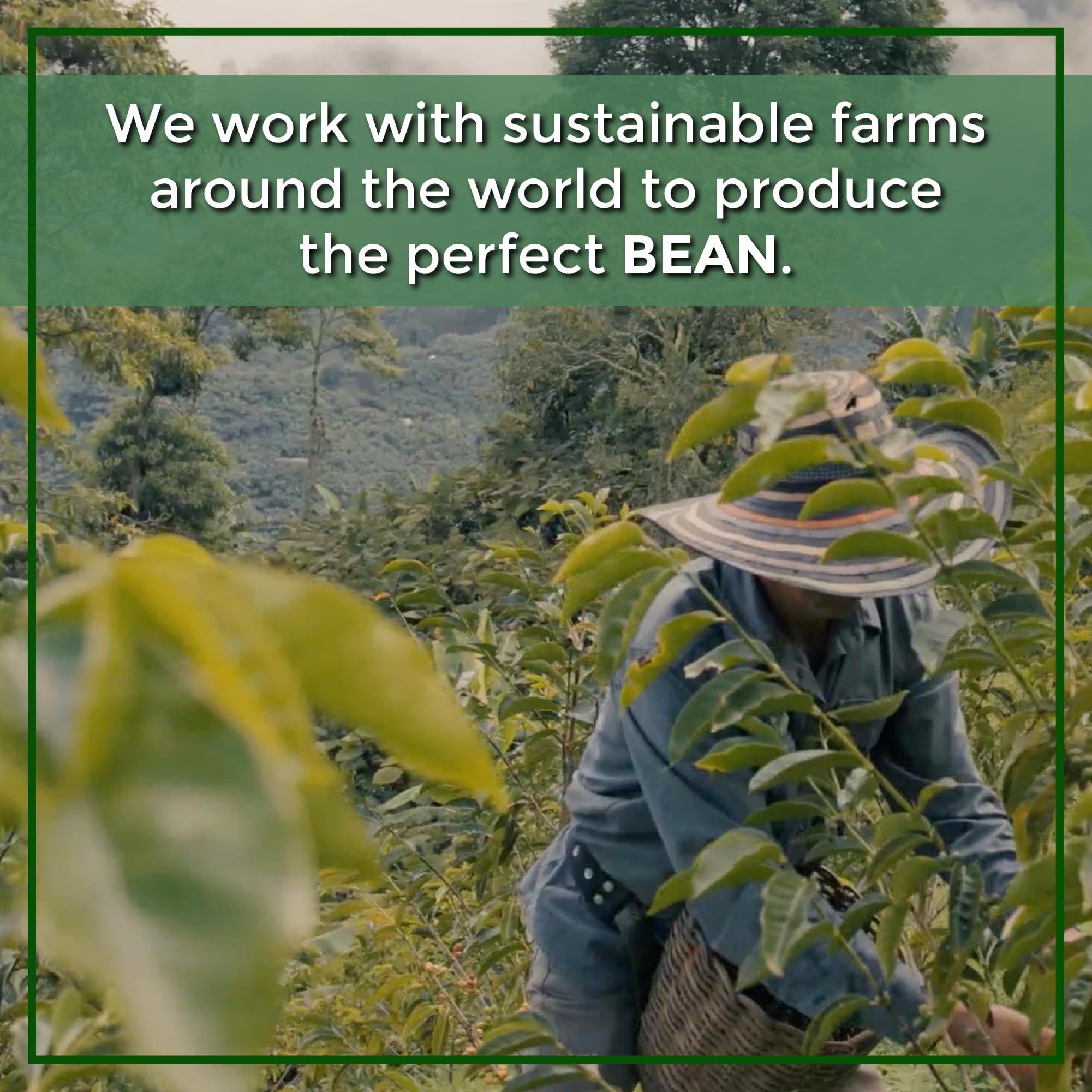 The Bean Coffee Company The Bean Organic Coffee Company Aloha Bean (Hawaiian Hazelnut), Medium Roast, Ground Coffee, 16-Ounce Bag, Caf molido tostado orgnico