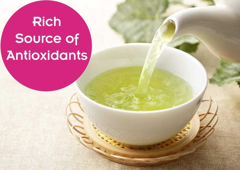 Fusion Teas Sencha (Steamed) Green Tea - Pure Loose Leaf Tea - Directly From The Kagoshima Prefecture In Japan - 1 Pound (16 Oz.) Pouch