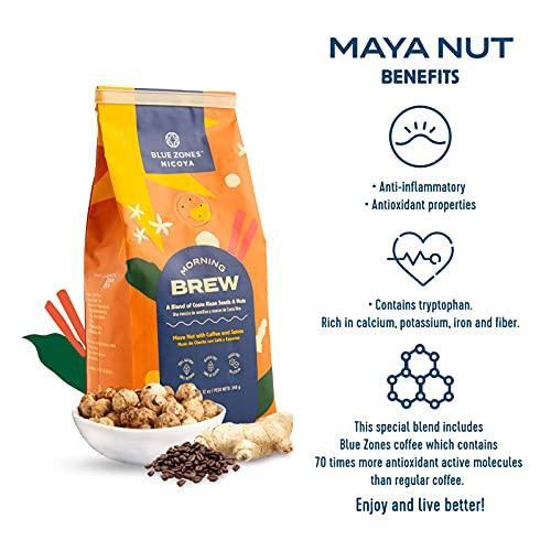 BLUE ZONES Blue Zones Nicoya - Morning Brew, Maya Nut with Coffee and Spices- 100% Natural Ground Coffee Alternative - High micronutrients - Low Caffeine, Gluten & Sugar-Free (12 oz/ 340g)