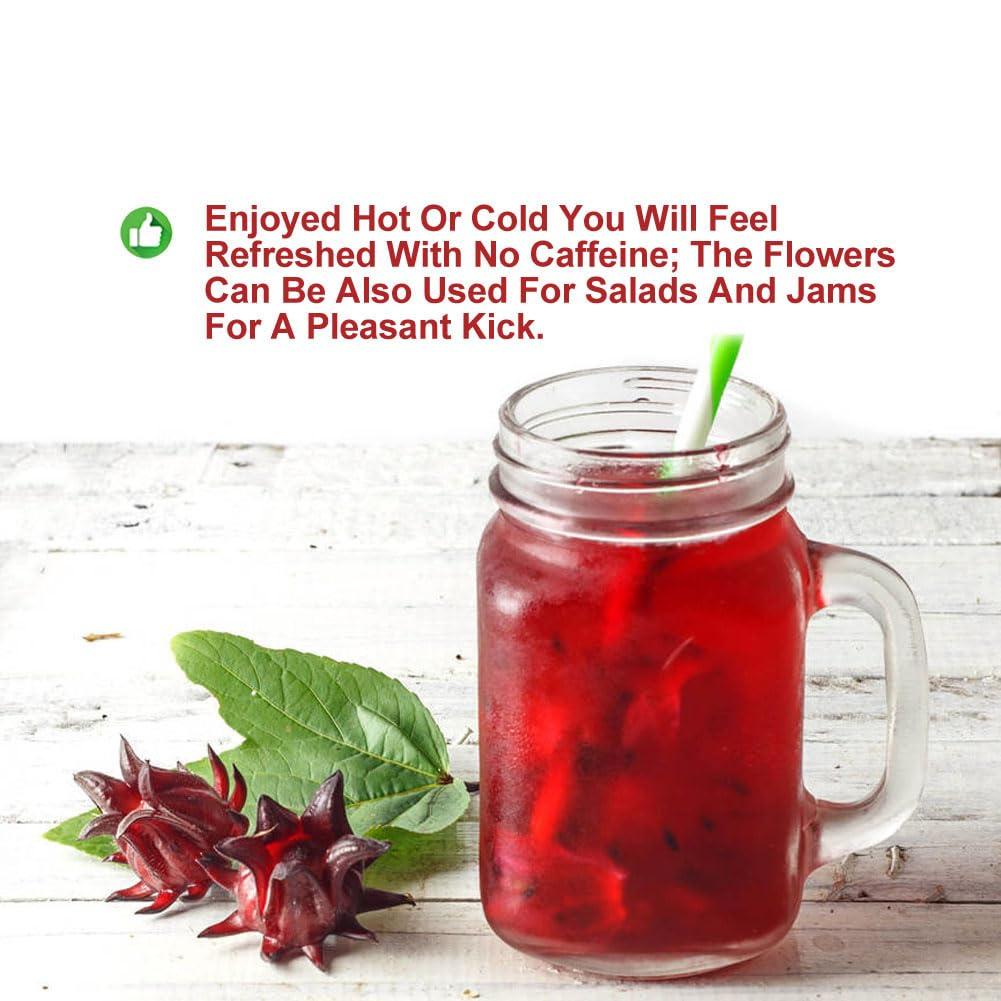 Plant Gift Plant Gift Roselle Hibiscus, Hibiscus Tea, Hibiscus Flowers Roselle Tea, 100% Natural Roselle Whole Flowers - Non-GMO - Caffeine-free - 50G/1.76oz