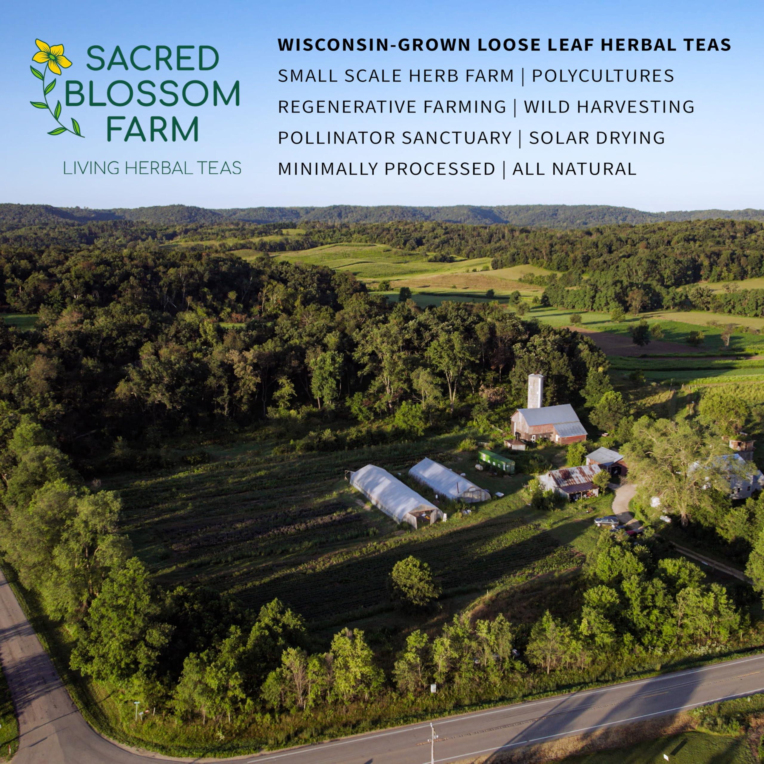 Sacred Blossom Farm Dream Herbal Tea | Sacred Blossom Farm | 1.9 oz. Loose Leaf Herbal Tea | Promotes Sleep* | Minimally Processed Wisconsin-Grown Herbal Tea & Medicinal Herbs | Caffeine Free | Handmade in USA