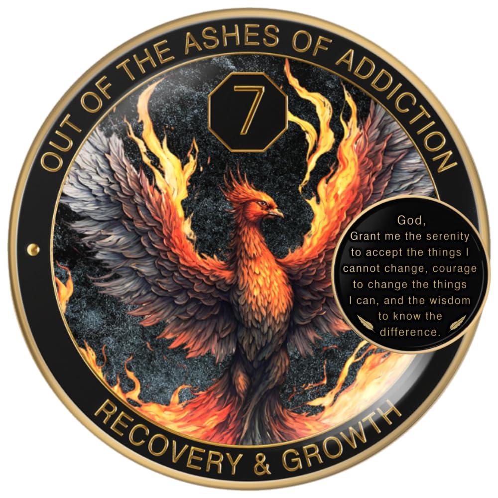 MilestoneMint MilestoneMint Phoenix Sobriety Coin | AA Chip Medallion Gift Set with Coin Capsule, Display Stand & Card for Sober Men & Women in Recovery | Sobriety Gifts for Anniversary Month & Year (7 Years)