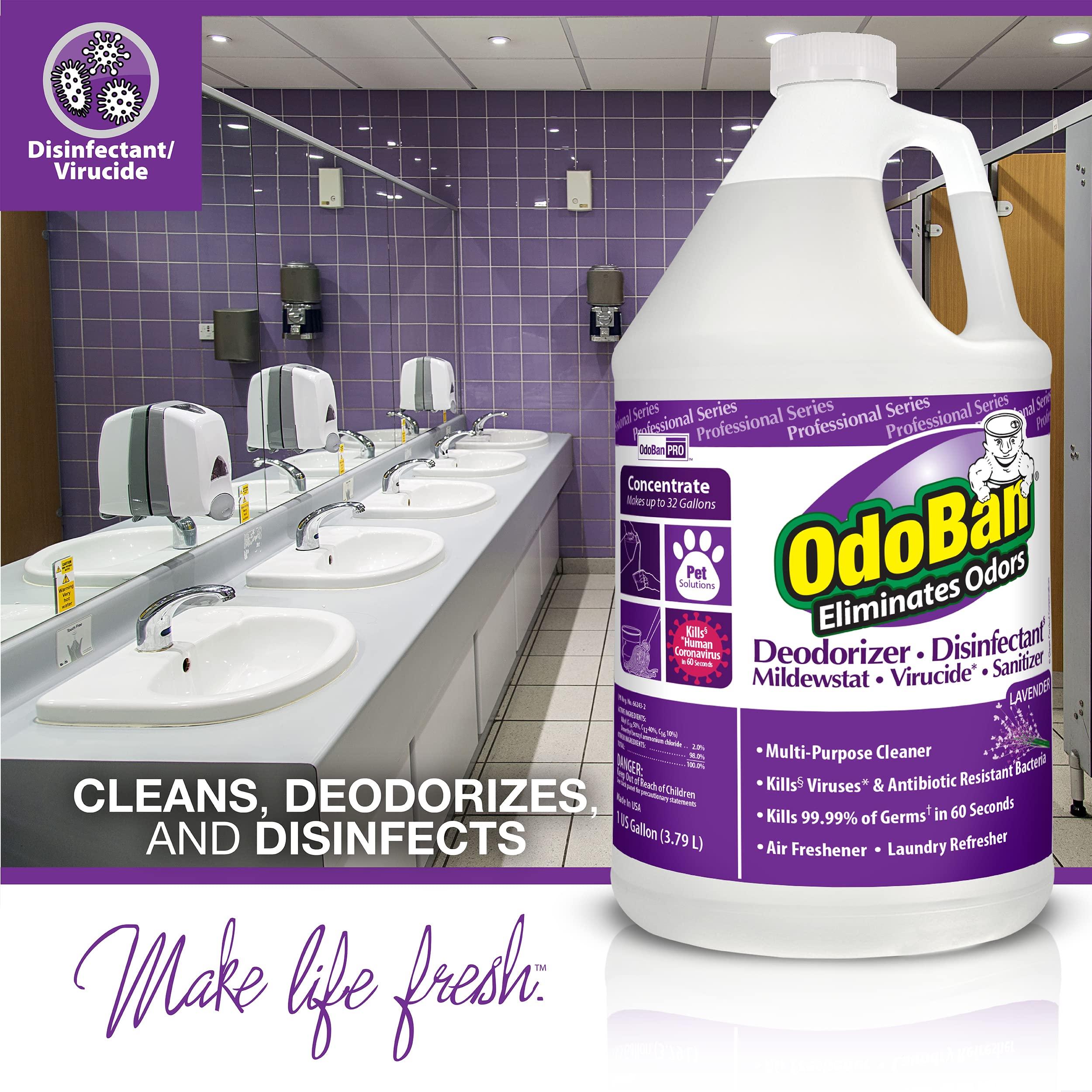 OdoBan OdoBan Disinfectant Concentrate and Odor Eliminator, 2 Gallons, Fresh Linen Scent & Professional Disinfectant and Odor Eliminator Concentrate, 4-Pack, 1 Gallon Each, Lavender Scent