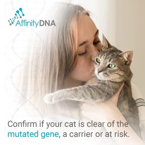 AffinityDNA AffinityDNA PKD DNA Test for Cats | Home Sample Collection Kit for 1 Feline | Polycystic Kidney Disease Testing | | Just Swab & Send a DNA Sample | Get Your Report in Just 12 Working Days