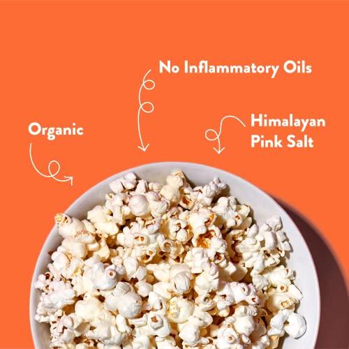 Lesserevil LesserEvil No Cheese Cheesiness Organic Popcorn, Premium Quality, Minimally Processed, No Vegetable Oil, 4.6 Oz, Pack of 3.