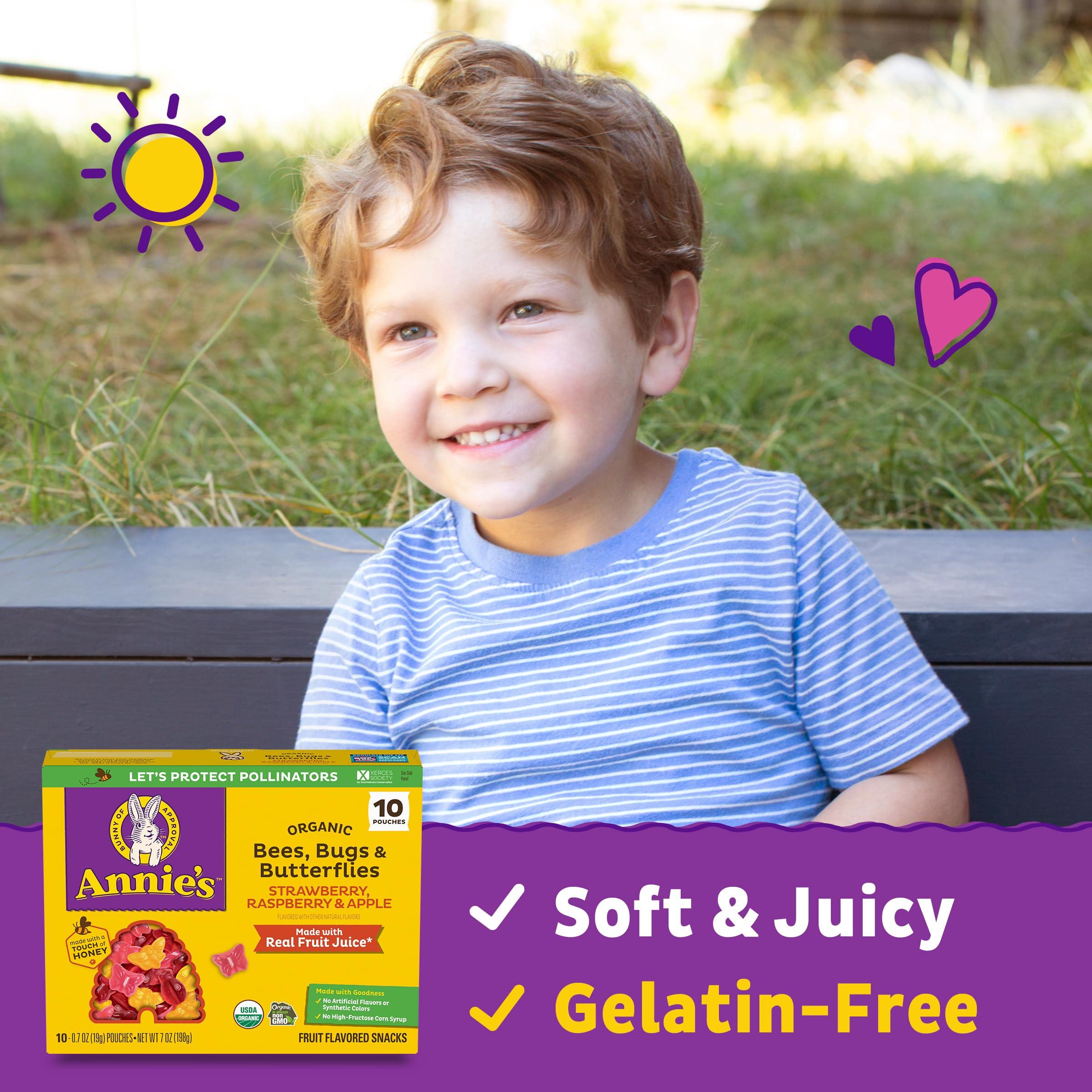 Annies Annie\'s Organic Bees, Bugs, and Butterflies Fruit Flavored Snacks, 10 Pouches, 7 oz