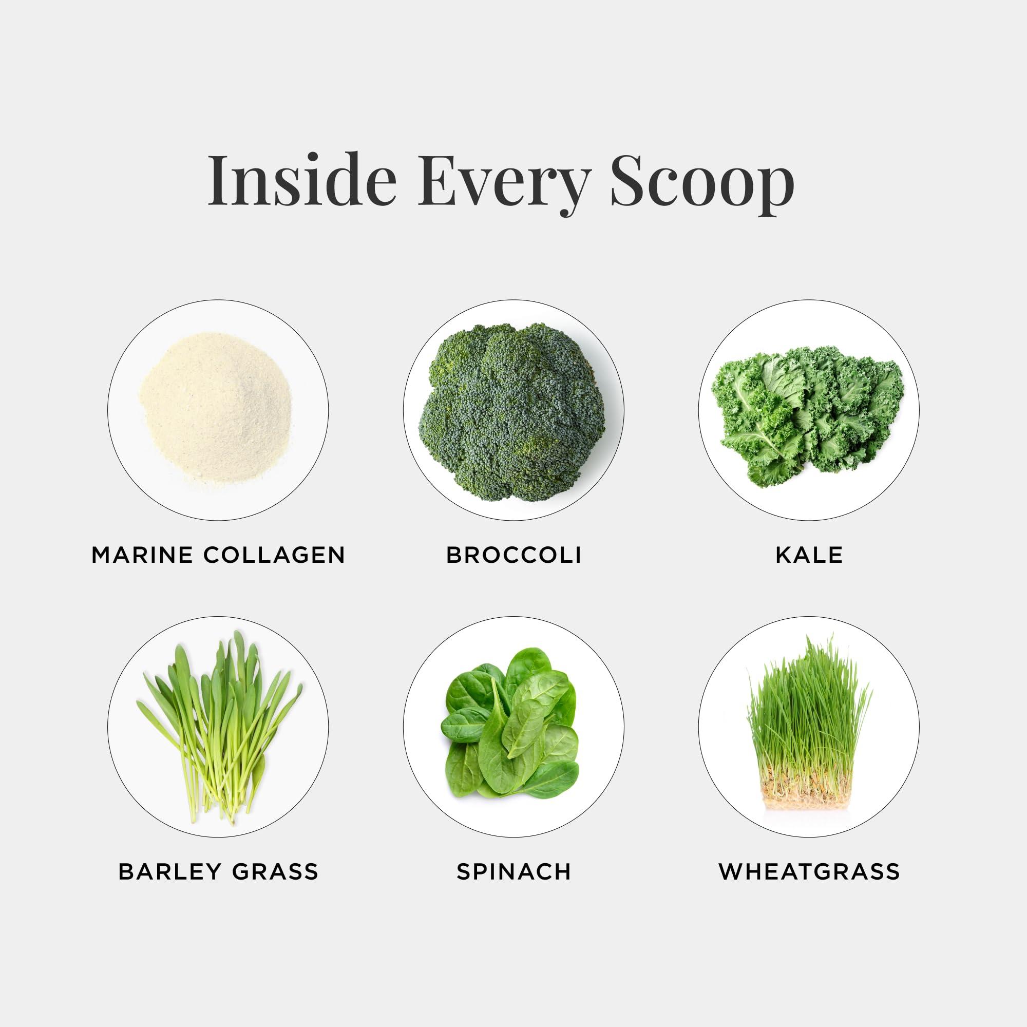 JSHealth JSHealth Super Greens Powder - Greens & Collagen Powder - Superfood Powder with Marine Collagen Peptides, Vitamins & Veggies, 30 Servings