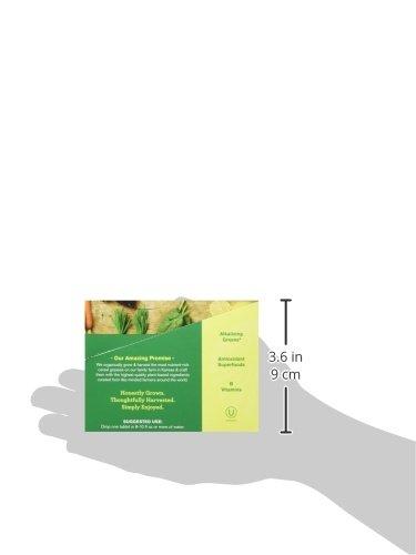 Amazing Grass Amazing Grass Fizzy Green Tablets Superfood Lemon Lime: Green Superfood Water Flavoring Tablet with Antioxidants & Alkalizing Greens, 60 Count (Packaging May Vary)