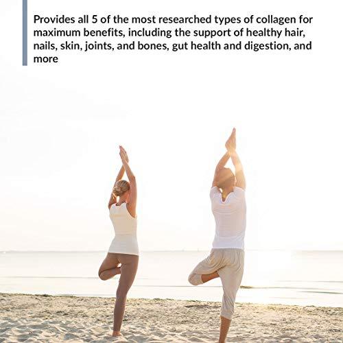 BioTrust BioTrust Ageless Multi Collagen 5-in-1 Protein Powder (Vanilla) BlenderBottle Bundle