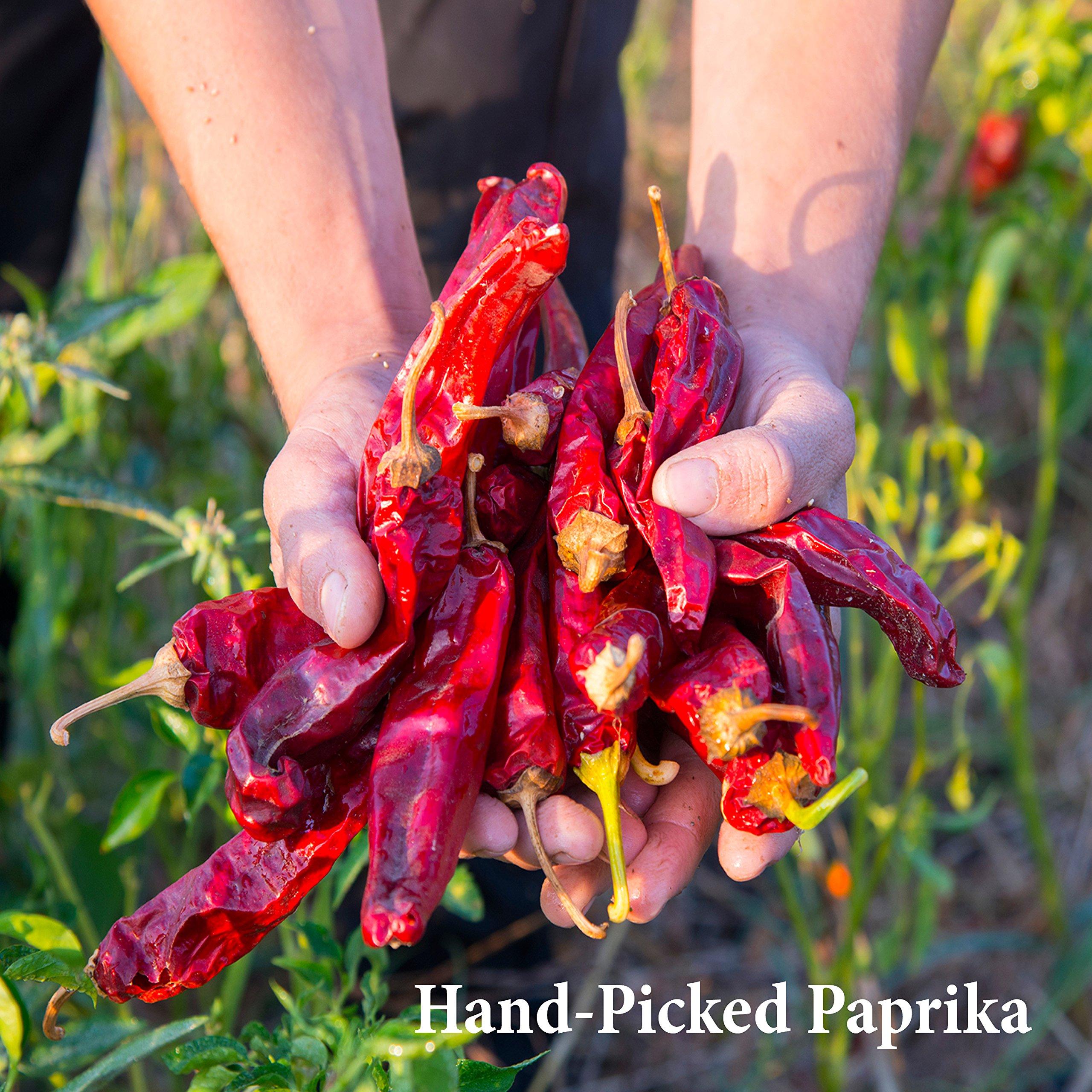 The Spice Way The Spice Way Paprika Powder - 8 oz paprika seasoning