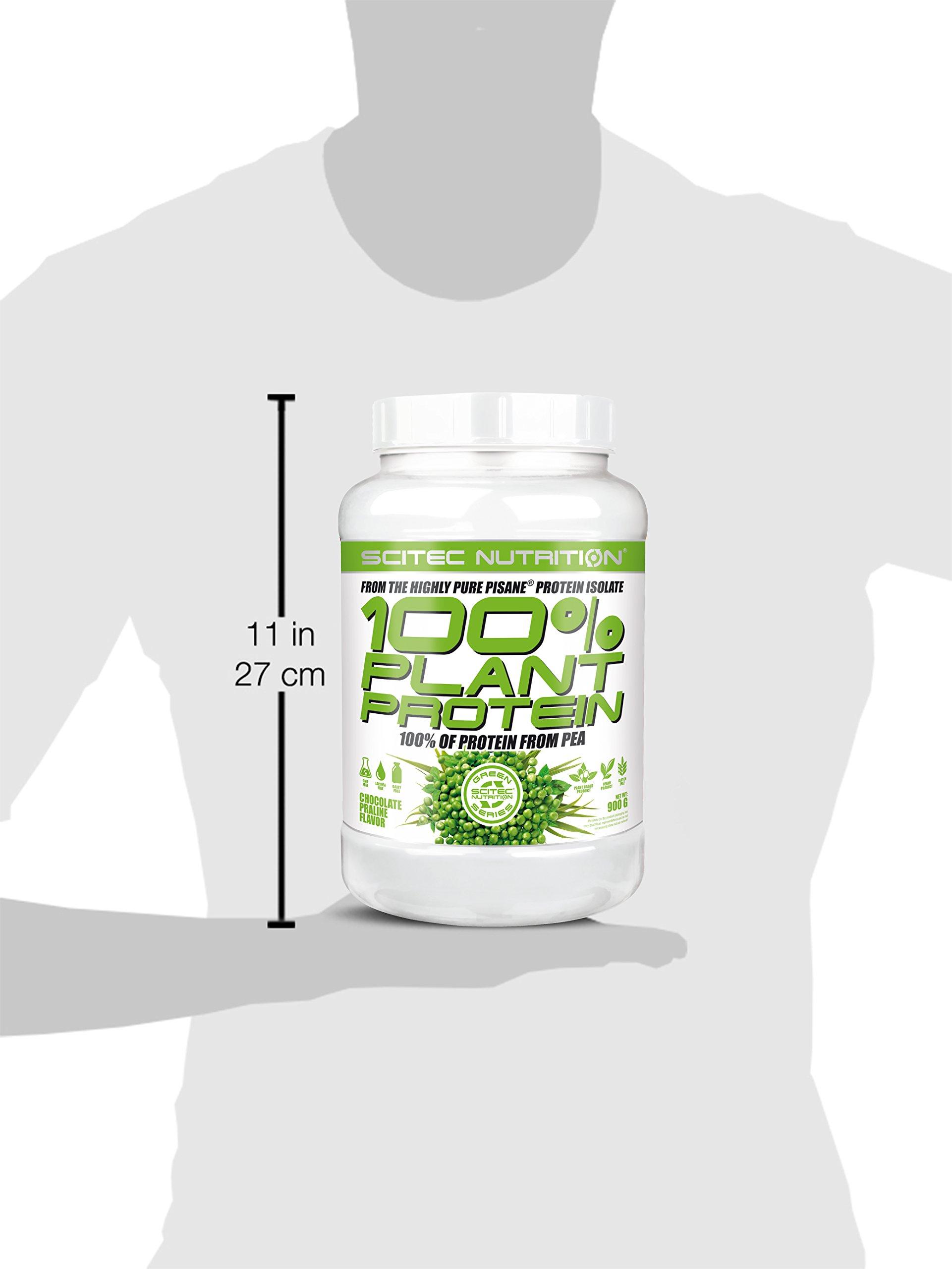 Scitec Nutrition Scitec Nutrition 100% Plant Protein - 1.98 Pound, Chocolate Praline (Vegan, Vegetarian)