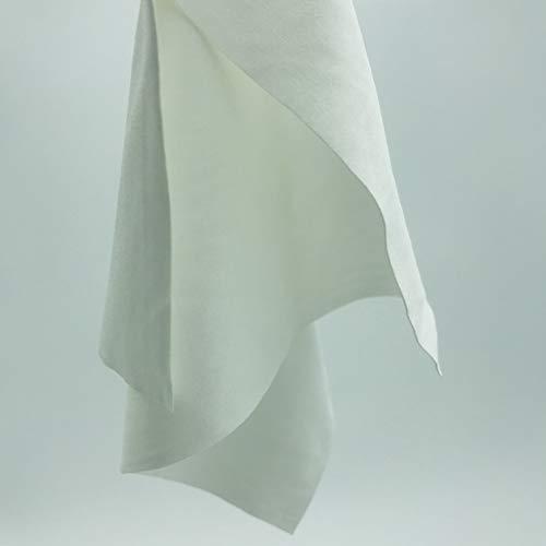 AAwipes AAWipes Cleanroom Cloth Wipes 9\"x9\" (Bag of 150 Pcs) Double Knit 100% Polyester Wipers Lint Free Cloths with Ultra-fine Filaments, Laser Sealed Edge, Class 100 Cloths, Ultra-soft Wipes CP14009