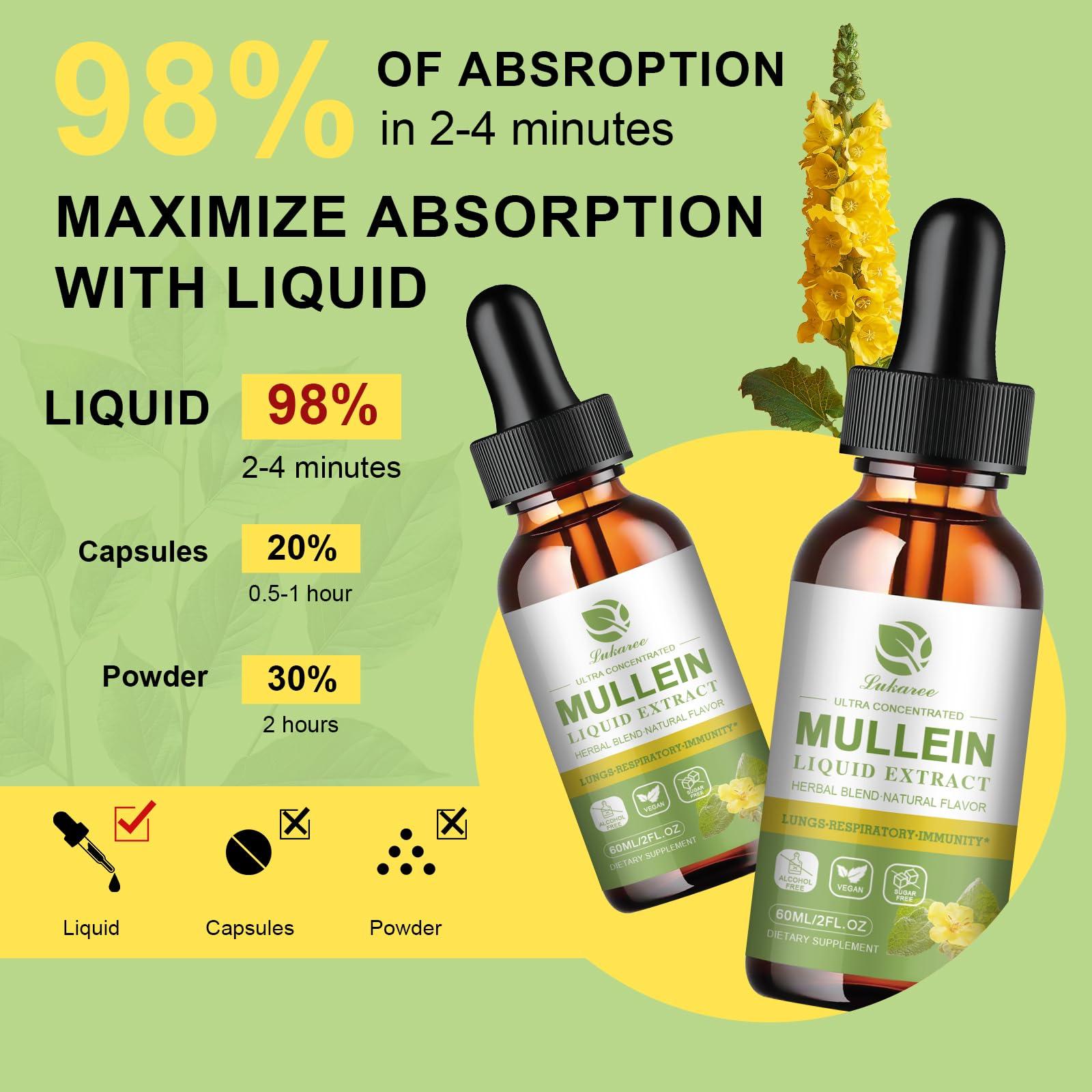 Lukaree Mullein Drops for Lungs, Lung Detox & Cleanse, Vegan Mullein Leaf Extract Tincture with Chlorophyll Elderberry, etc, Natural Herbal Supplement for Respiratory, Immune, 30 Servings
