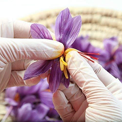 Zaffrus Zaffrus - Premium Saffron Powder for Cooking, Athletes, Specialty Drinks Fans - Pack of 4 ( 0.5 gram/ .0176 oz)