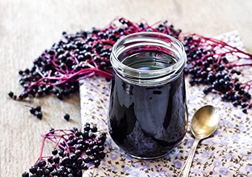 Food to Live Food to Live Organic Black Elderberry Powder, 12 Ounces – Non-GMO, Made from Raw Dried Berries, Unsulfured, Vegan, Bulk, Great for Baking, Smoothies, Yogurts, No Sulphites, Contains Maltodextrin