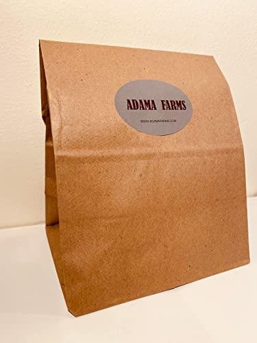Adama Foods Sunchokes - 5 pounds (5 lbs) for Planting or Eating FEDEX 2Day