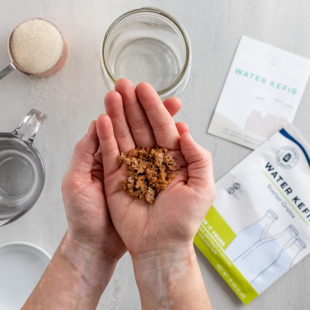 Cultures For Health Cultures for Health Water Kefir Grains | DIY Fermented Probiotic Drink for Stronger Gut Health | Heirloom Starter Makes Limitless Supply | Non-GMO Dairy Free Vegan Sparkling Water with Enzymes