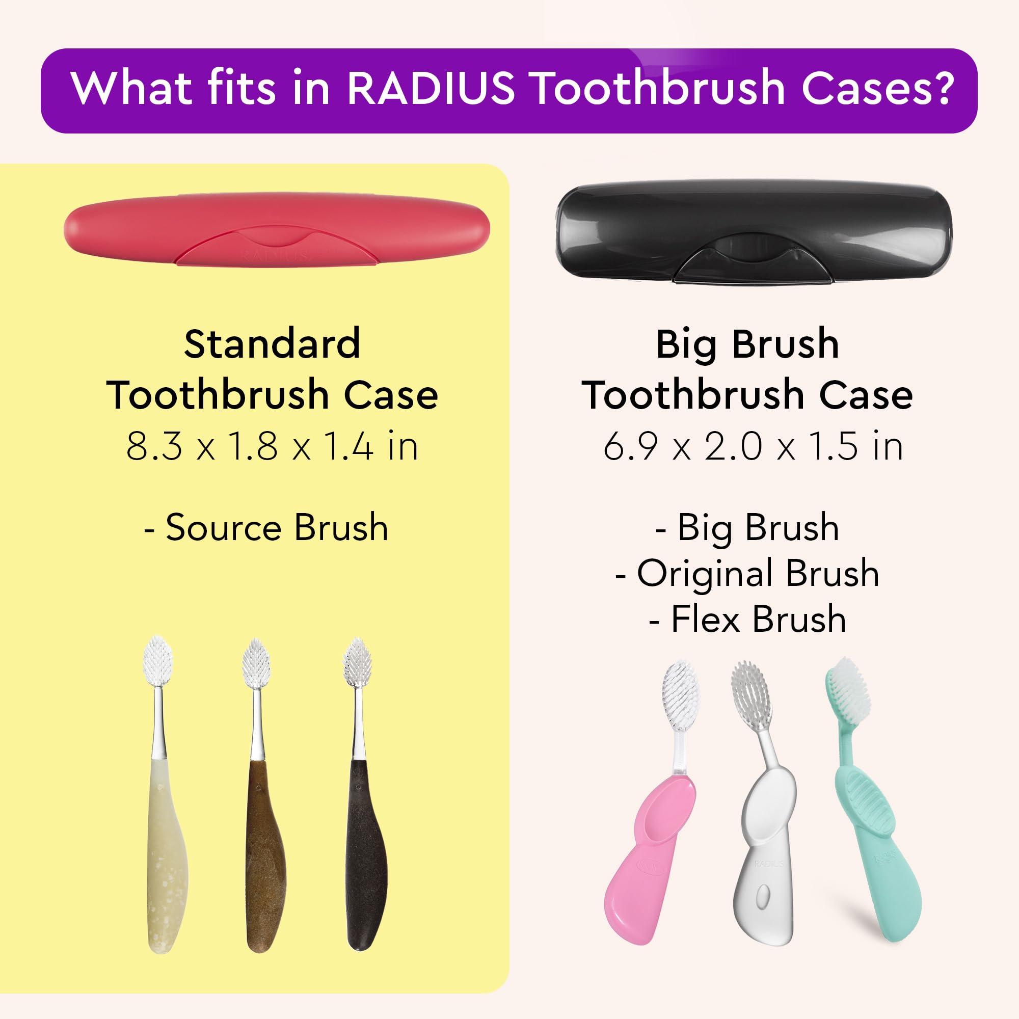 RADIUS RADIUS Toothbrush Travel Case for Standard Brush, BPA-Free Recycled Plastic, Portable for Bathroom, School, Home, Camping - Mint (FITS ALL CONVENTIONAL TOOTHBRUSH SOURCE TOOTHBRUSH)