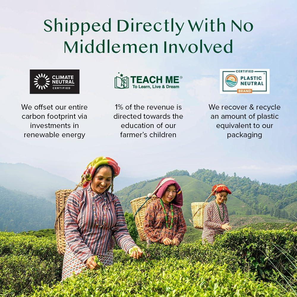 VAHDAM VAHDAM, Green Tea Variety Pack Sampler Assortment (60 Pyramid Tea Bags, 6 Flavor) | Non-GMO Project Verified Premium Tea with No Artificial Ingredients