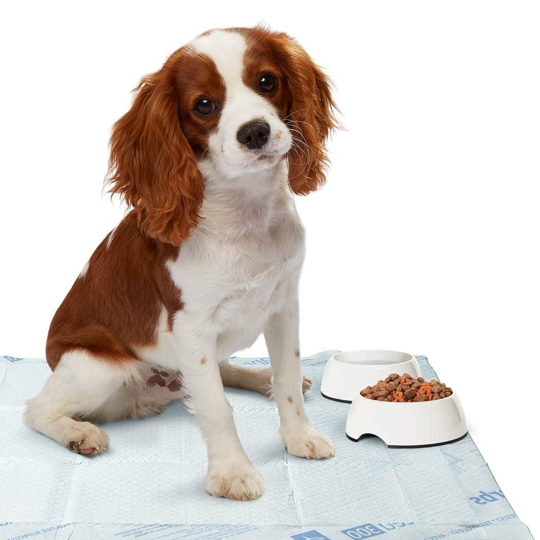 Medline Medline Ultrasorbs Drypads with SlipResist Technology, 30\" x 36\", 5 Count, Super Absorbent Disposable Bed Pads, Incontinence Bed Pads, Adult Bed Pads, 10x More Absorbent, Chucks For Adults, Elderly