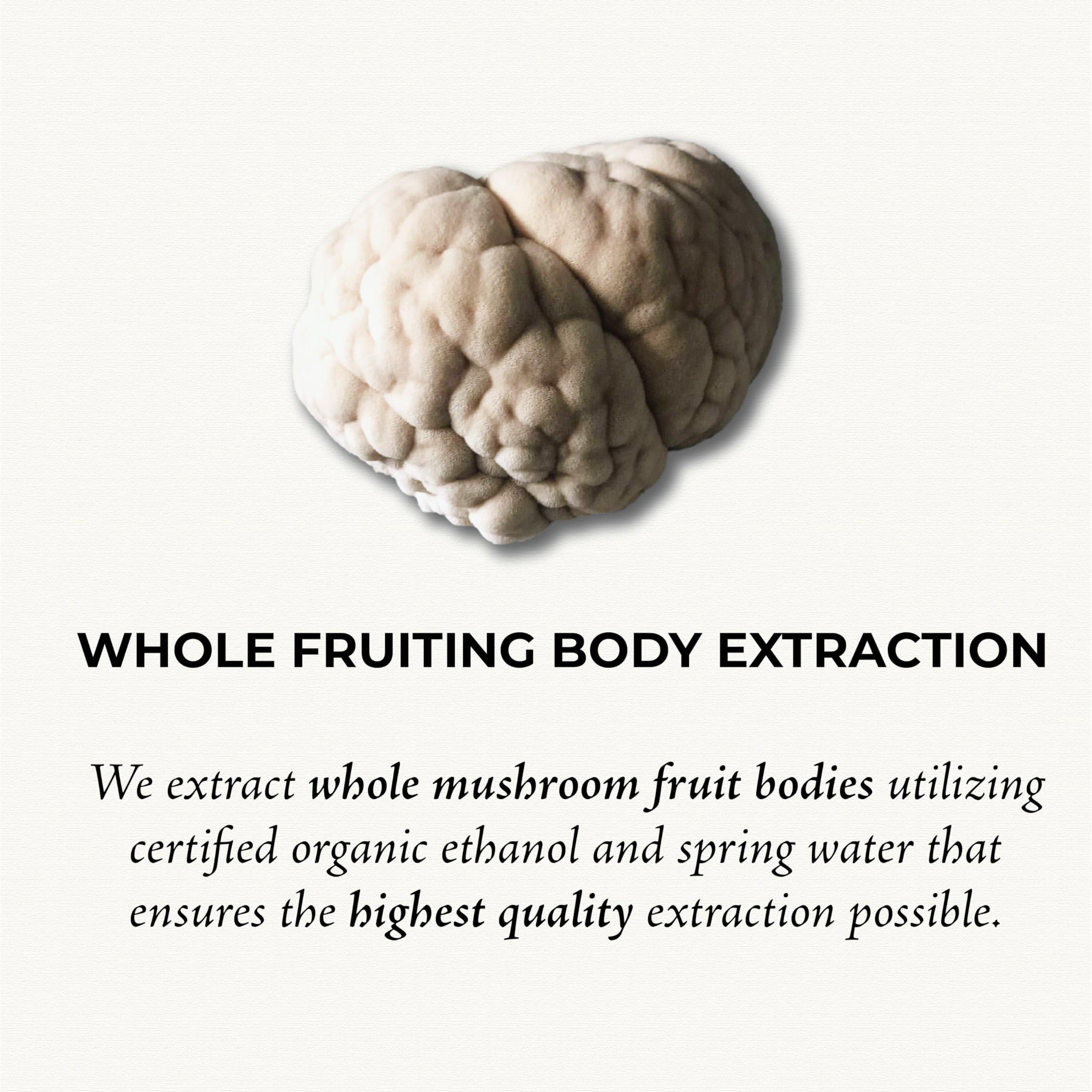 GO Mushrooms GO Mushrooms LionS Mane Tincture - Dual Extracted Fruiting Body Mushroom Supplement for Focus & Memory - Lions Mane Immune & Nervous System Support - 2 fl oz (60 Servings)*