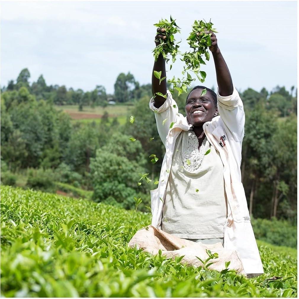 PG Tips PG Tips Black Tea Non-Pyramid Tea Bags - 240 Count (Pack of 2)