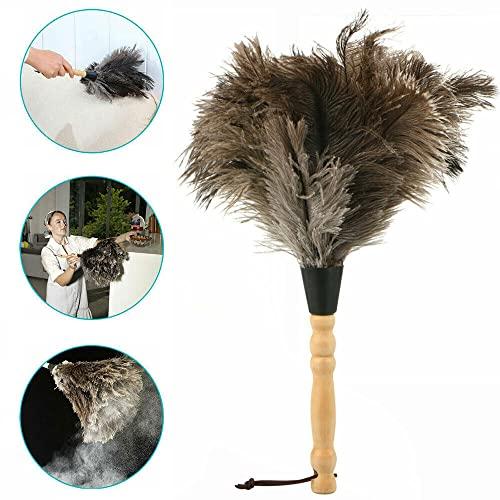 TEAMWILL TEAMWILL 2PACKS 13\" Ostrich Feather Duster Durable Dust Collecting Cleaning Tool in Wool Shop