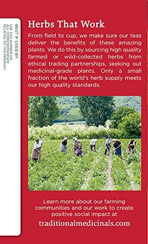 Traditional Medicinals Traditional Medicinals Organic Herbal Cold Care Elderflower Spice Herbal Tea, Warm & Comforting Seasonal Wellness, 48 Tea Bags Total (Pack of 3)