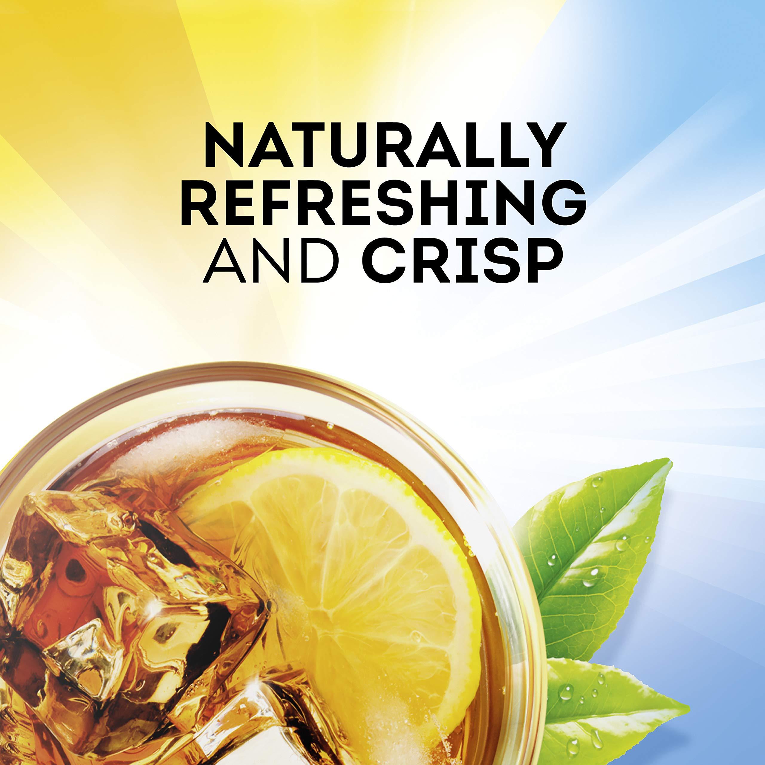 Lipton Lipton Family Iced Tea Bags Black tea 22 ct