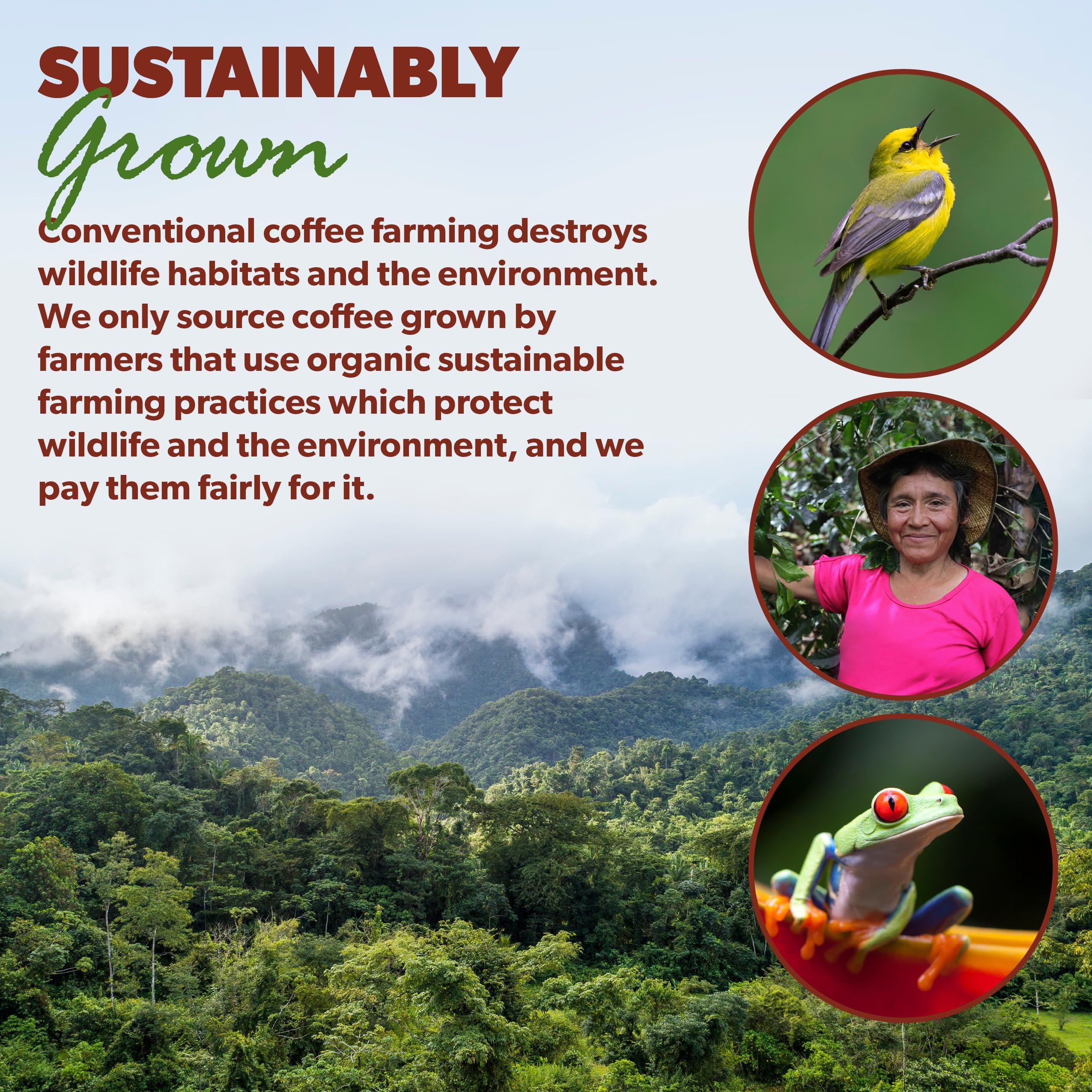 Java Planet Organic Coffee Roasters Java Planet Organic, Sumatra Single Origin Dark Roast, Smooth Full Flavored Organic Coffee Beans, Low Acid, Whole Bean Coffee Two 1LB Bags