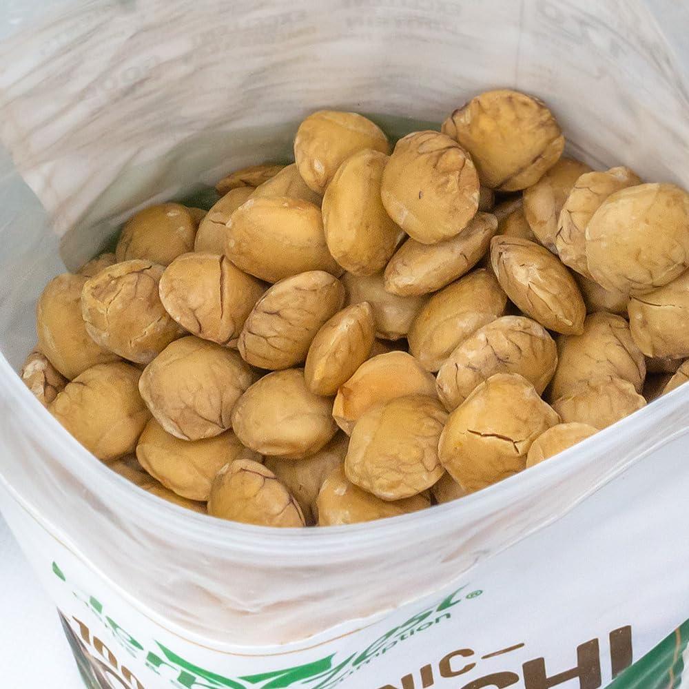 HerbaZest HerbaZest Sacha Inchi Seeds (2 LB) - USDA Certified Organic - Vegan, Non-GMO & Gluten-Free - Perfect for Snacks, Baked & Non-Baked Goods